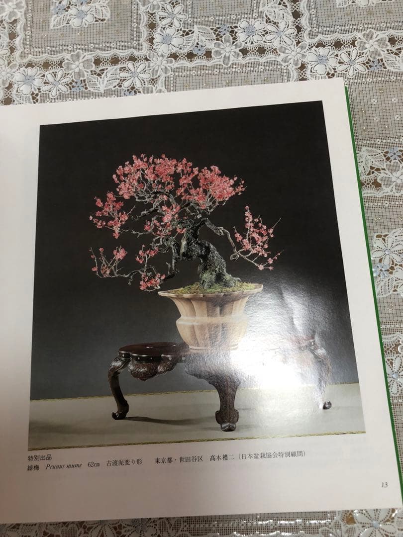 【希少品・レア】国風盆栽展 書籍セット 第69回〜第74回