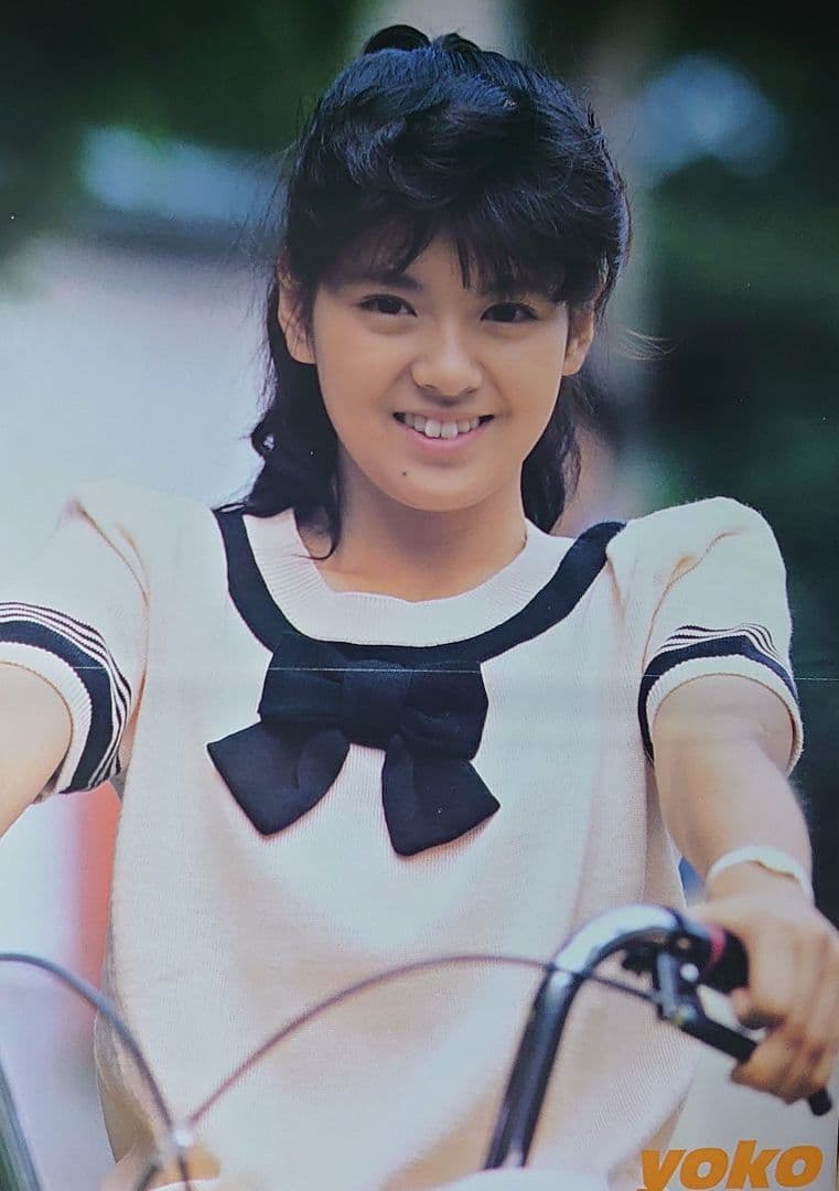 南野陽子　1986年〜1991年 レア　大量　切り抜き　ファイル　2冊　120P