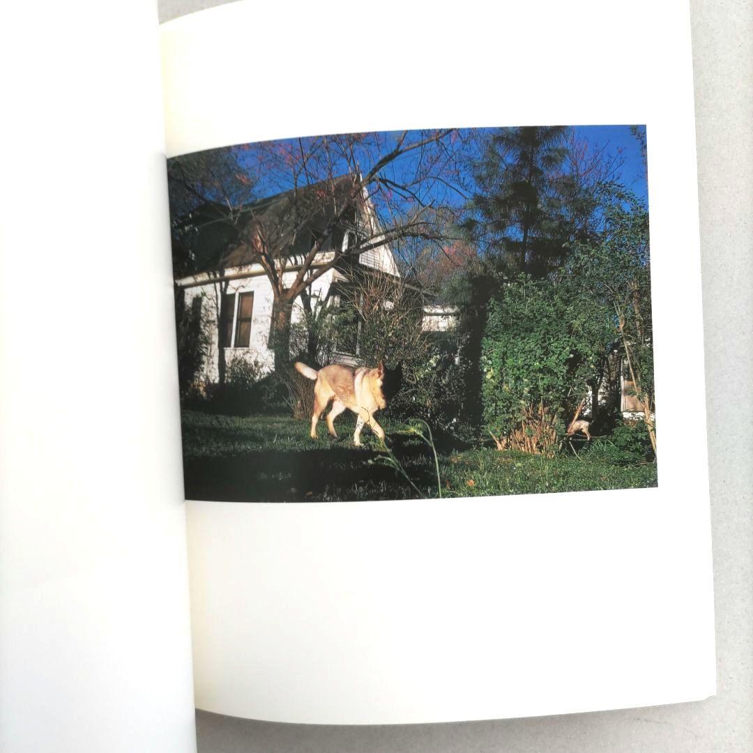 希少】Horses and Dogs:William Eggleston/写真希