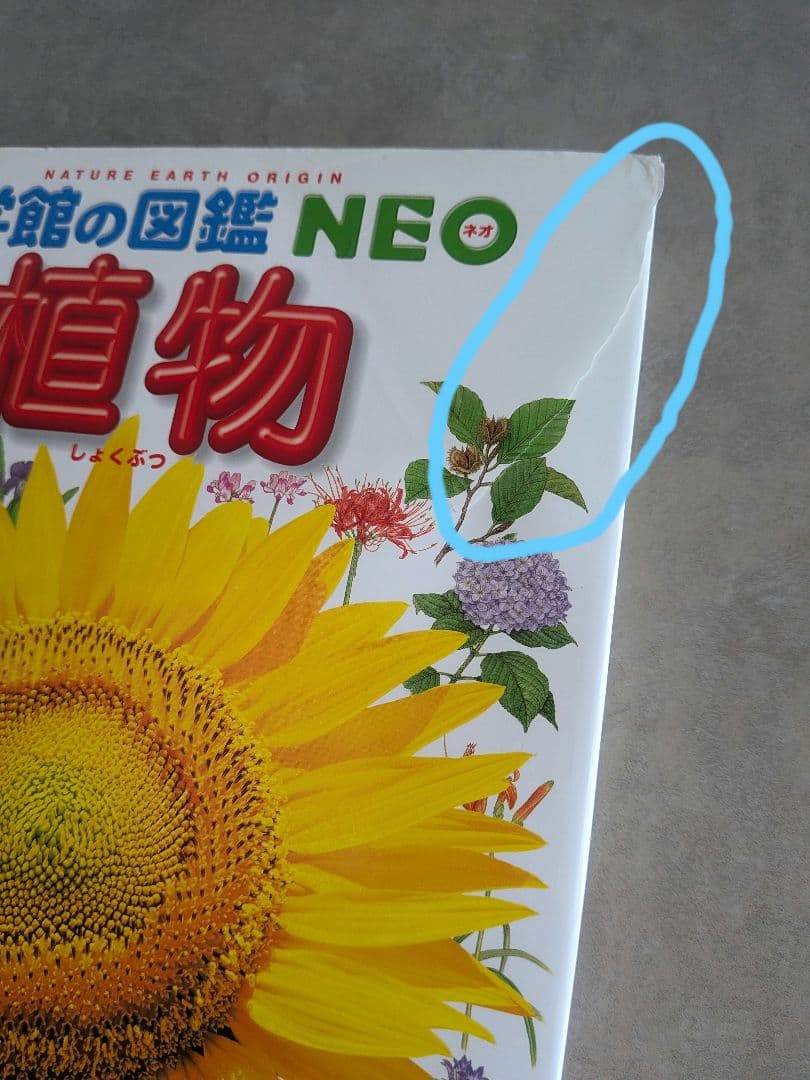小学館の図鑑NEOシリーズ 9冊セット