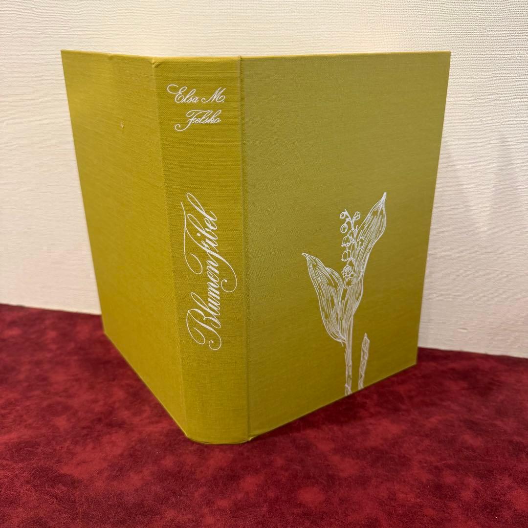 314③1980年ドイツElsa Flesko植物図鑑植物画　ジャンクジャーナル