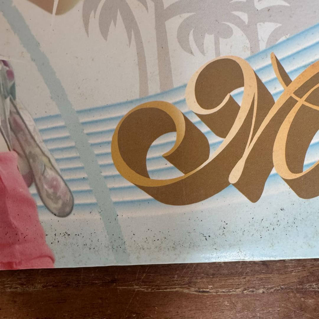 MINMI ミンミ アイの実 四季ノ唄 レコード NUJABES レゲエ