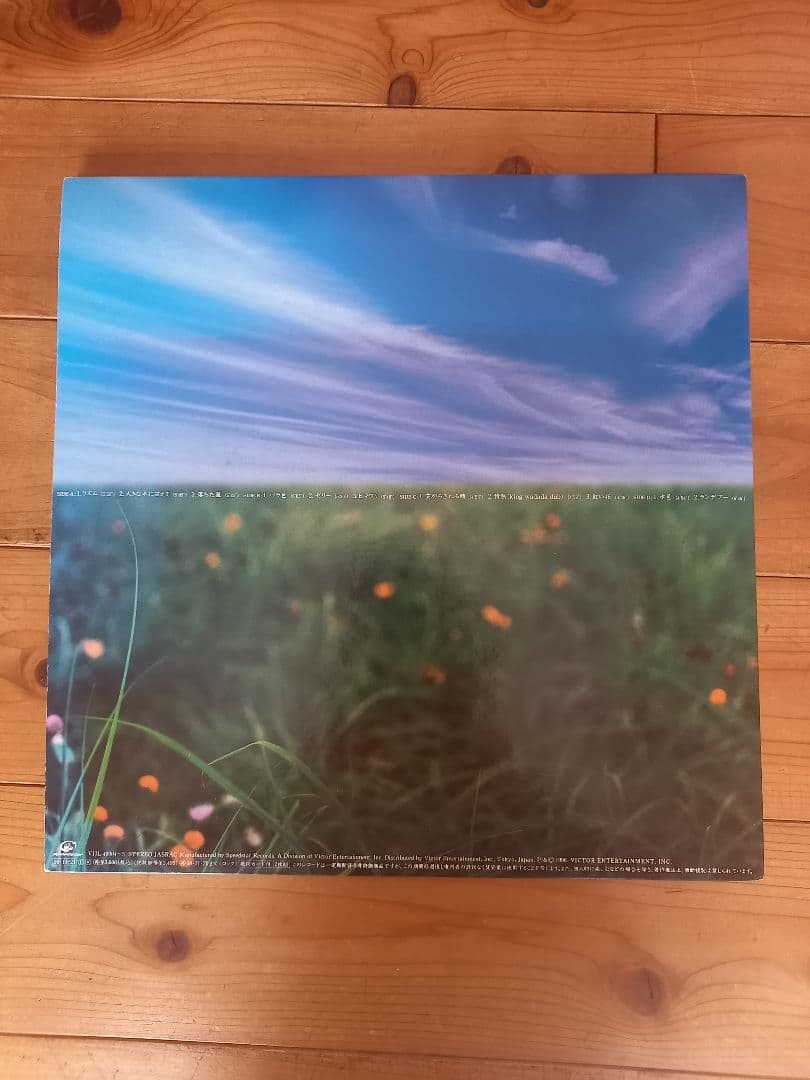 UA/11 レコード2枚組