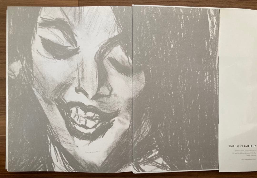 Bob Dylan 「Drawn Blank Series」 ハードカバー