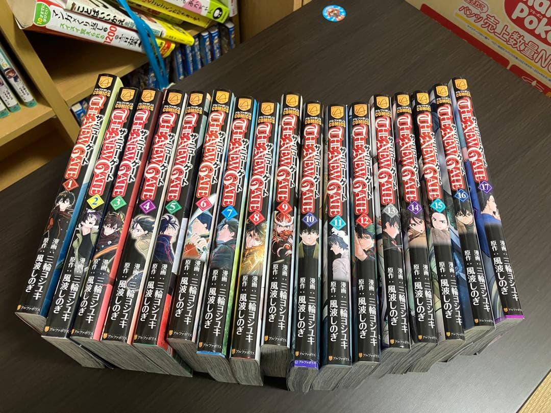 THE NEW GATE 全17巻セット