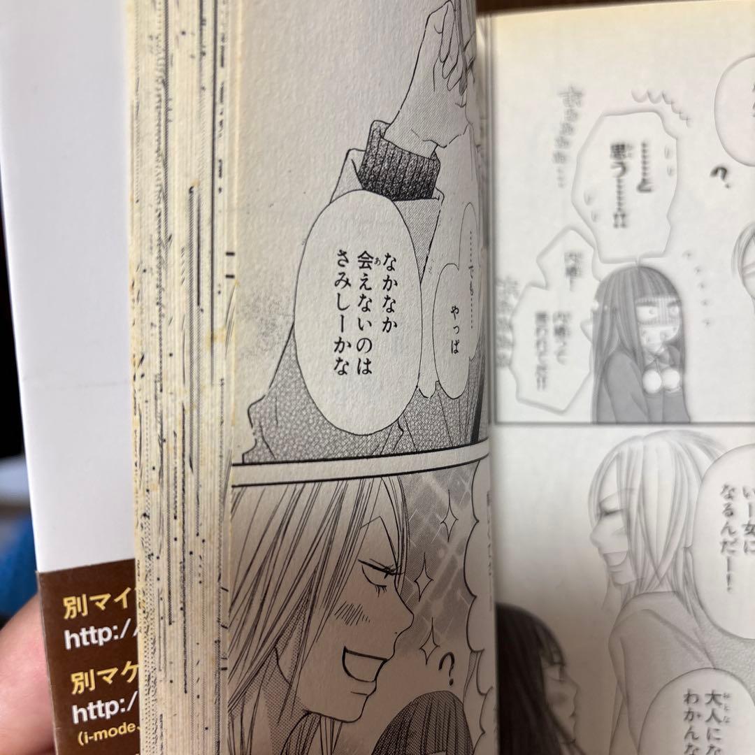 君に届け 全30巻　番外編 運命の人1〜2巻