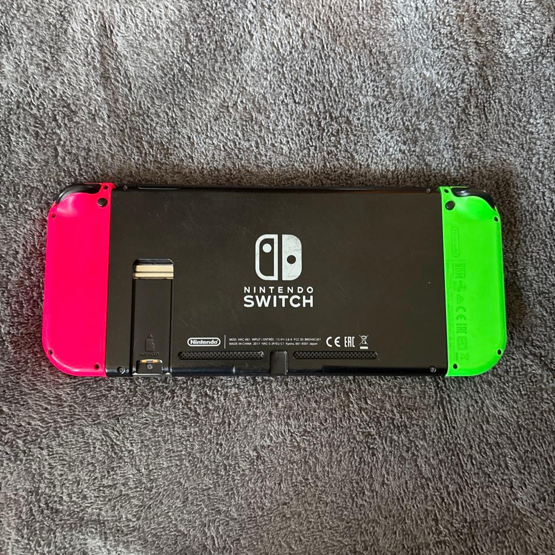 Nintendo Switch 本体 ネオンピンク/ネオングリーン　ドッグ付き