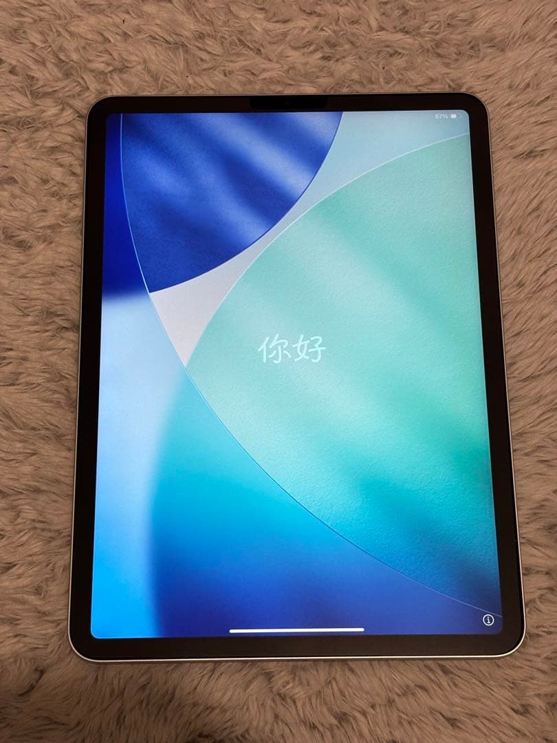 Apple iPad Pro 11インチ シルバー 本体