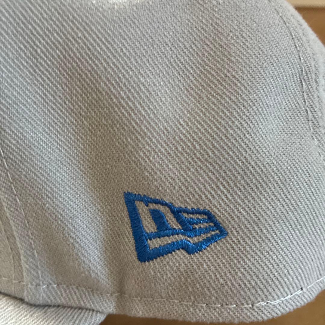 THE NORTH FACE 9FIFTY SNAPBACK キャップ グレー