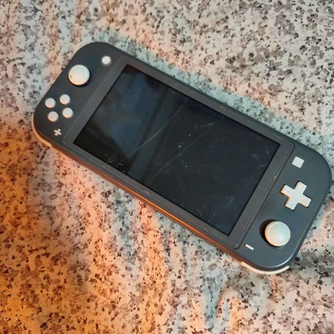 ジャンク品　ニンテンドースイッチライト