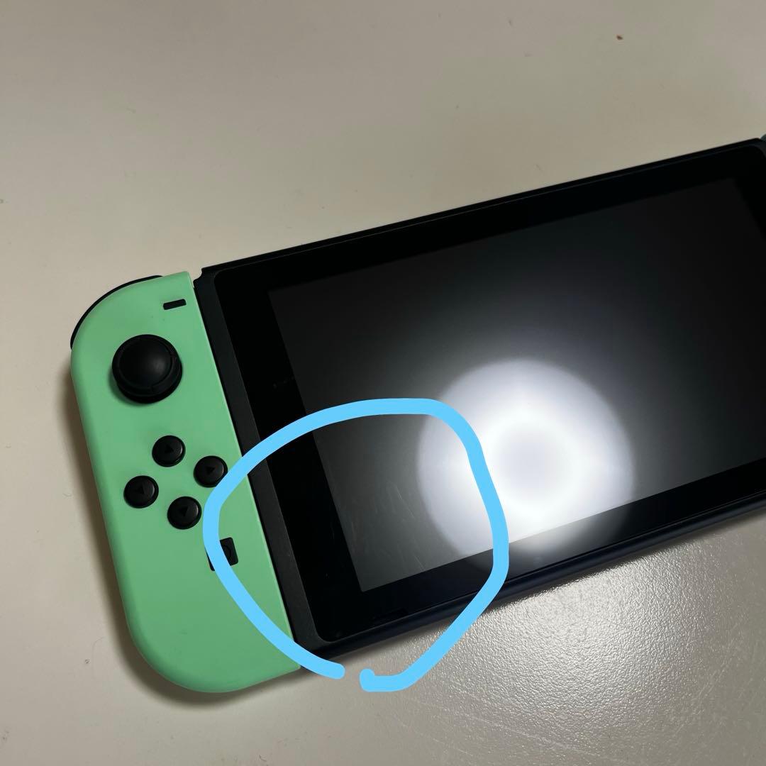 カセット有 NintendoSwitch あつまれ どうぶつの森セット