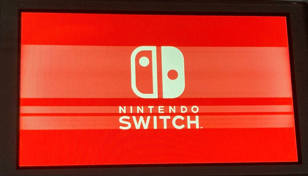 ★ジャンク品 動作確認済★ ニンテンドースイッチライト 充電器付き