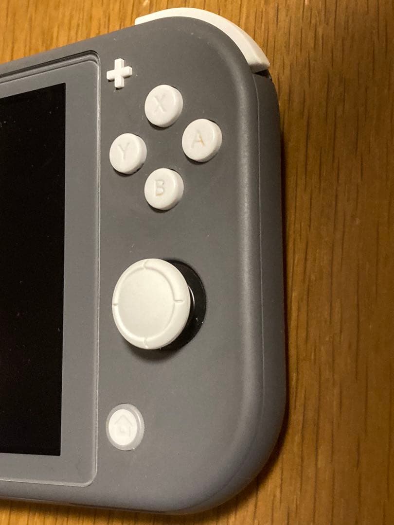 ★ジャンク品 動作確認済★ ニンテンドースイッチライト 充電器付き