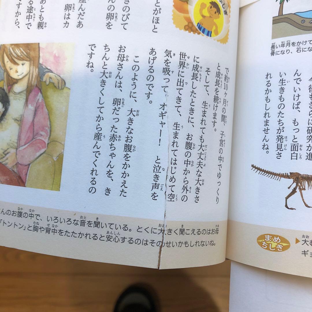 ふしぎな話 たのしい話365 5冊まとめ　算数・英語・人体・スポーツ・考える力