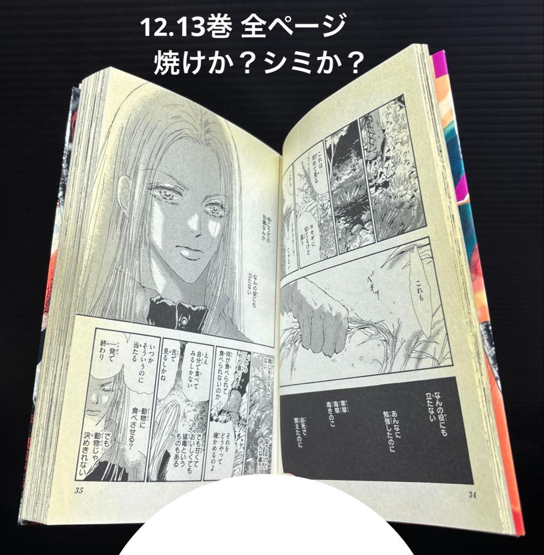 7SEEDS 1-35巻 全巻 公式ファンブック 外伝 全37冊