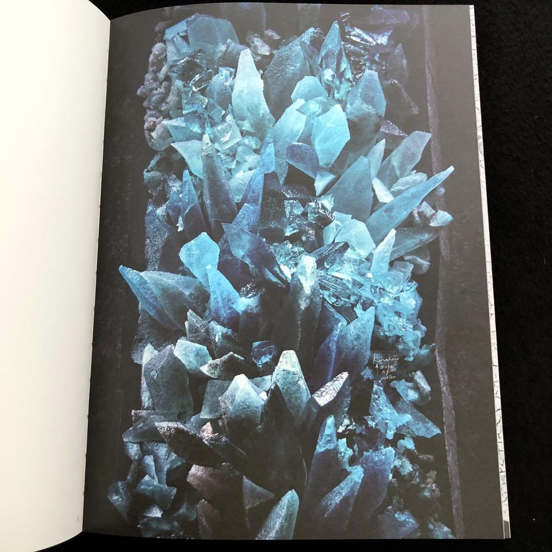 袴田尚弥 作品集「FOOD ART Moment of beauty」DAG