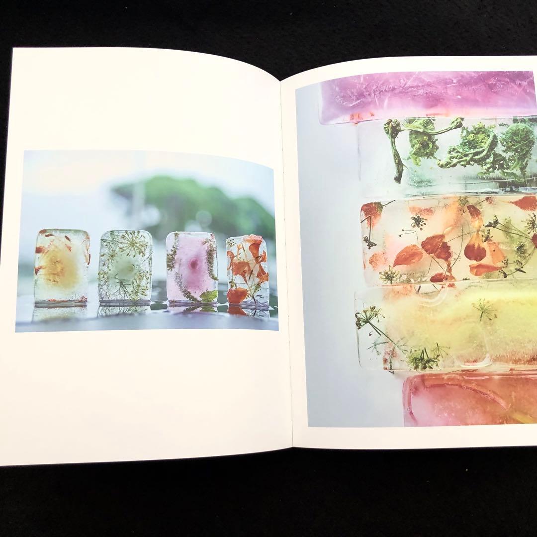 袴田尚弥 作品集「FOOD ART Moment of beauty」DAG
