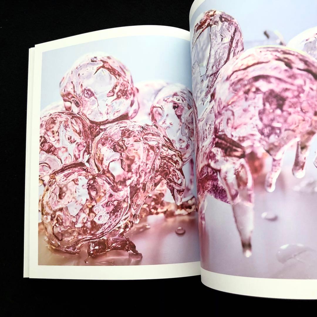 袴田尚弥 作品集「FOOD ART Moment of beauty」DAG