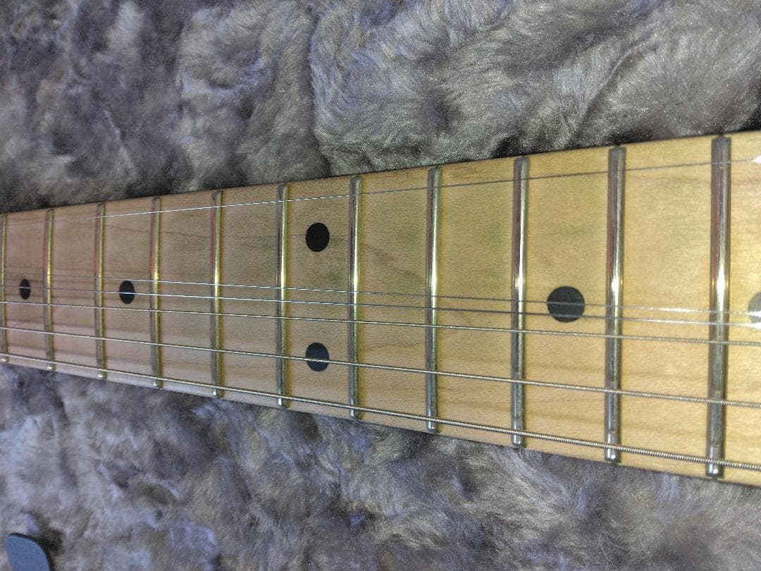 tatsu.tk.kamata　EVH Striped 白黒（ギターのみ）