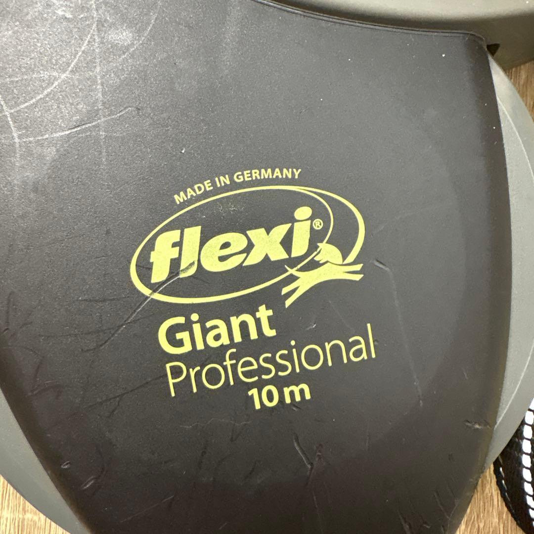 flexi Giant Professional 10m リード