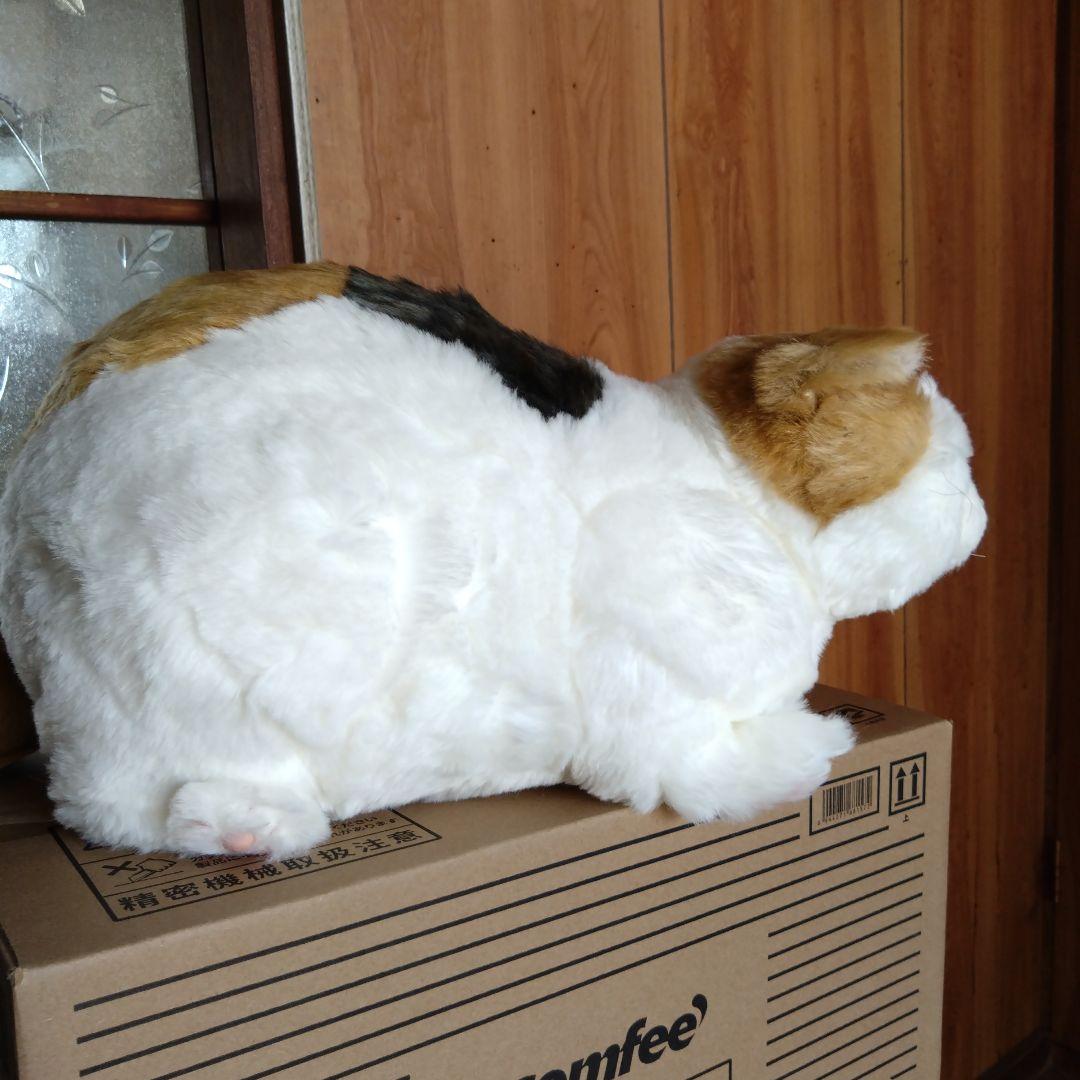 cuddly ぬいぐるみ マリア　りらっくす