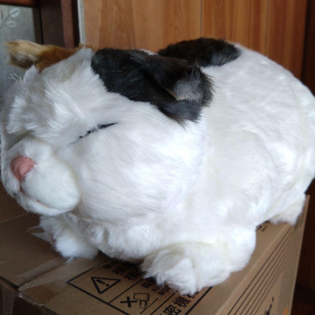 cuddly ぬいぐるみ マリア　りらっくす