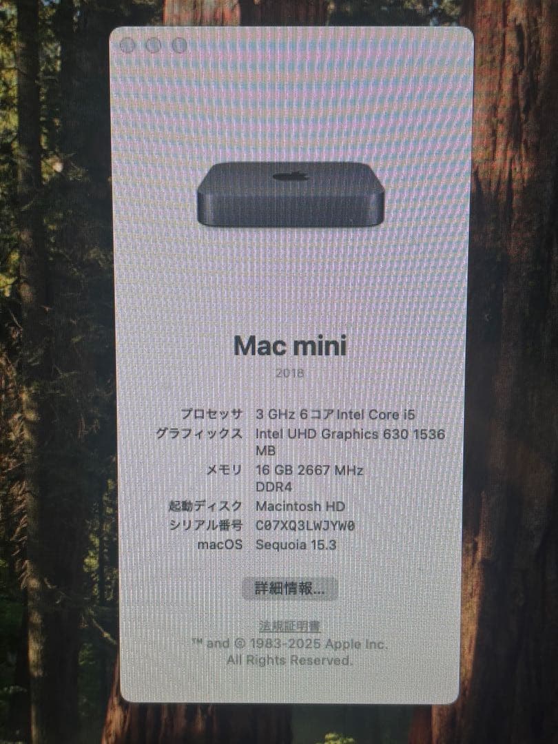 Macデスクトップ Mac mini i5 16GB SSD 256GB 2018 APPLE