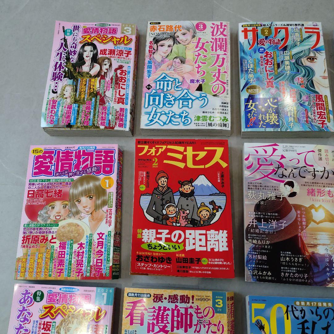 レディースコミック19冊　　①