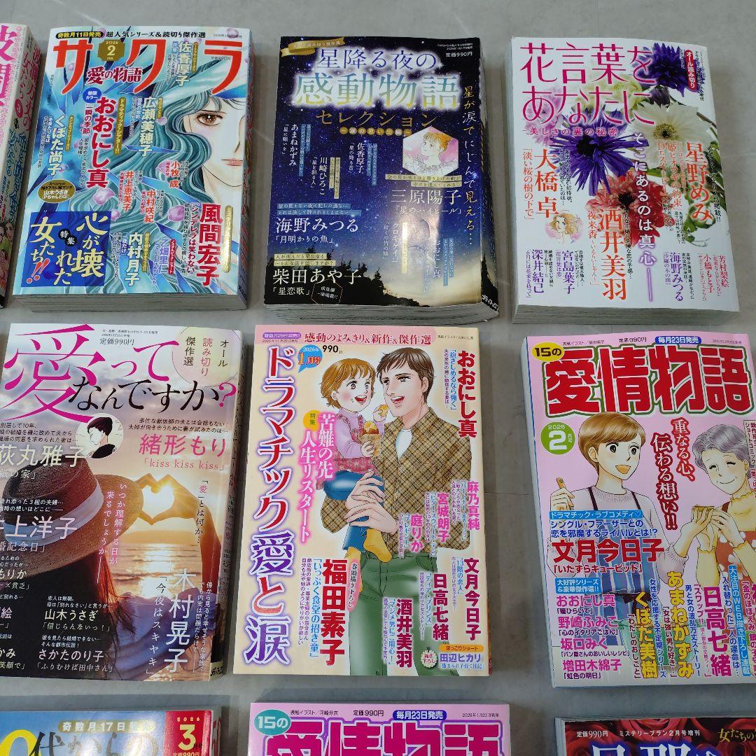 レディースコミック19冊　　①
