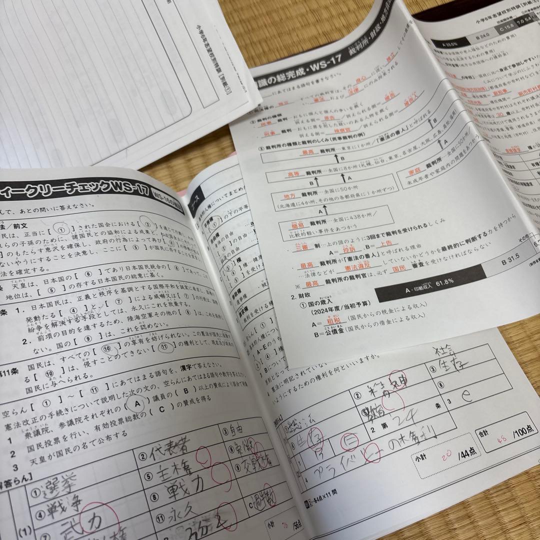 サピックス　2025年入試用　6年生　ウィークリー　サンデー　セット