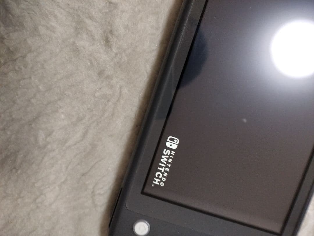 動作品液晶やや難Nintendo Switch Lite グレー 本体