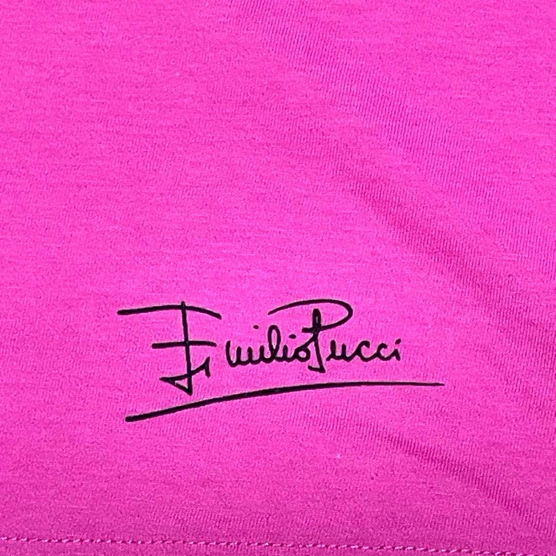 極美品 EMILIO PUCCI エミリオプッチ 半袖 Tシャツ 大きい L