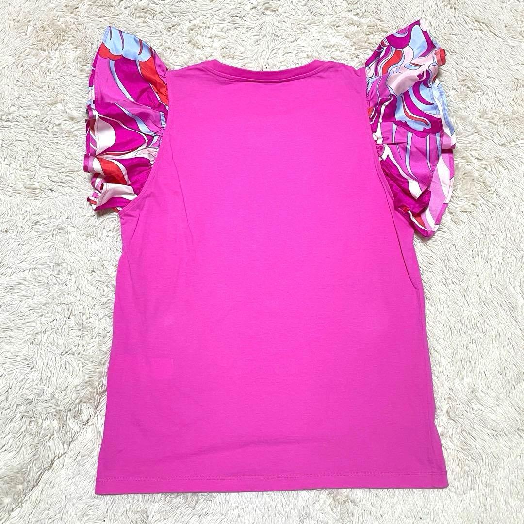 極美品 EMILIO PUCCI エミリオプッチ 半袖 Tシャツ 大きい L