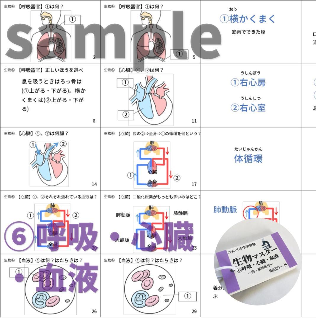 中学受験理科　生物・化学・地学・物理マスターセット　一問一答カード【074】