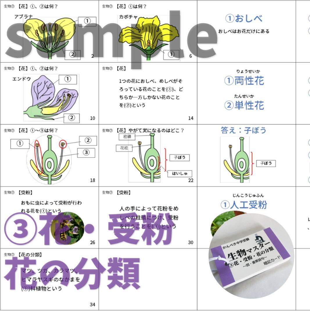 中学受験理科　生物・化学・地学・物理マスターセット　一問一答カード【074】