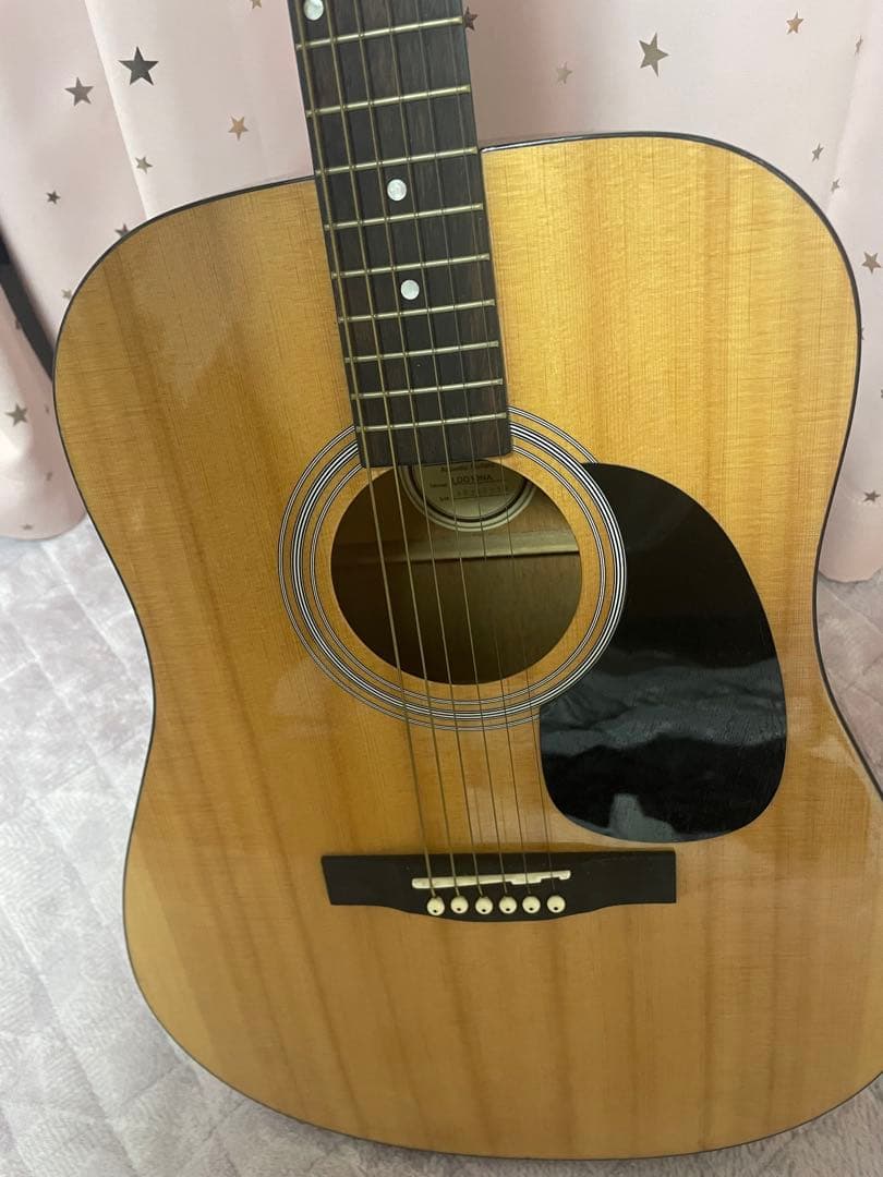 Lumber アコースティックギター LDG10NA