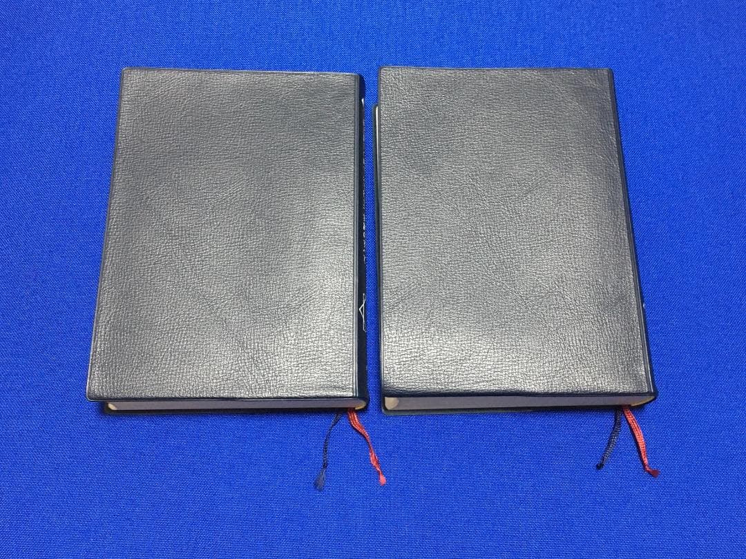 【2冊セット・良品】図解 鍼灸療法技術ガイドⅠ・Ⅱ／文光堂／東洋医学 臨床