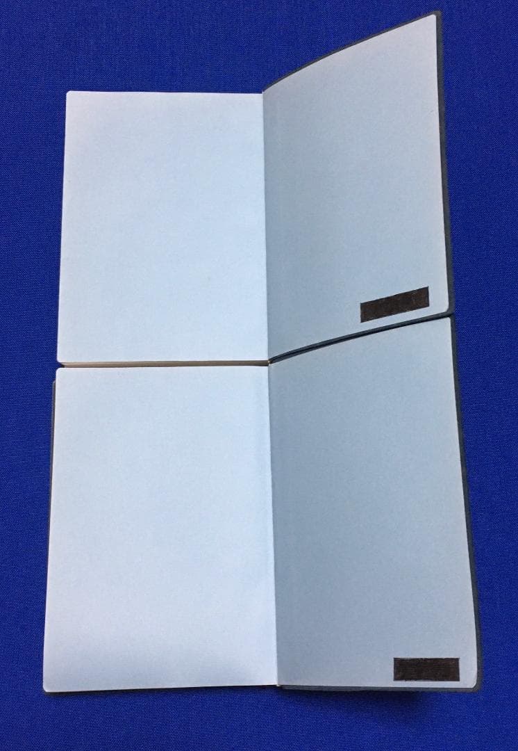 【2冊セット・良品】図解 鍼灸療法技術ガイドⅠ・Ⅱ／文光堂／東洋医学 臨床
