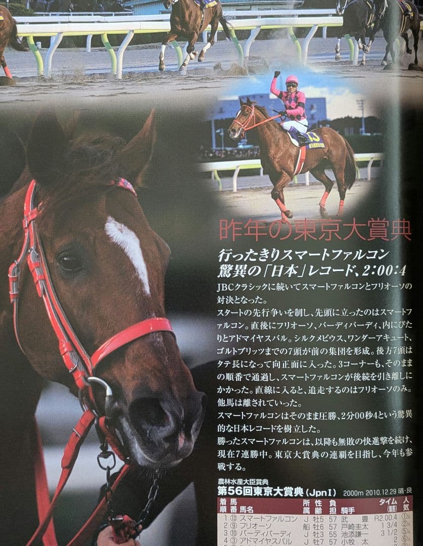 2011年東京大賞典レーシングプログラム & スマートファルコン単勝馬券セット
