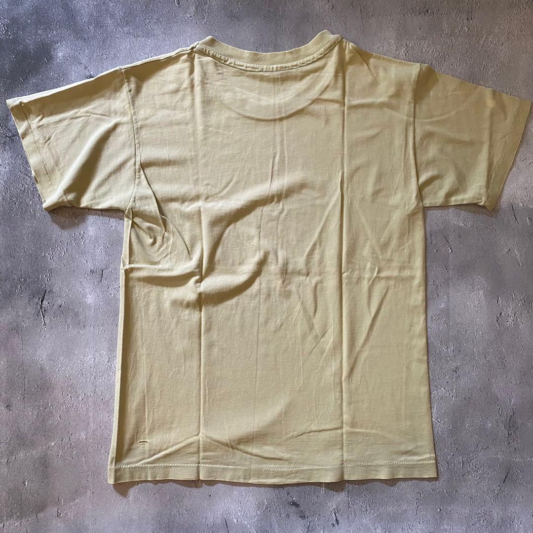 90's NIRVANA Incesticide ヴィンテージ Tシャツ