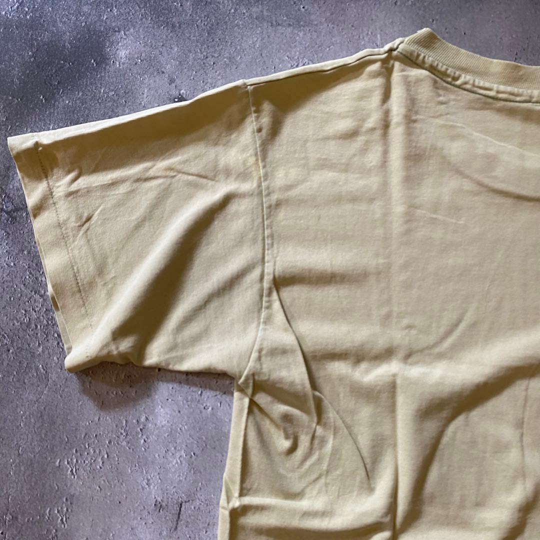 90's NIRVANA Incesticide ヴィンテージ Tシャツ