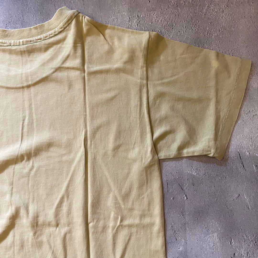 90's NIRVANA Incesticide ヴィンテージ Tシャツ