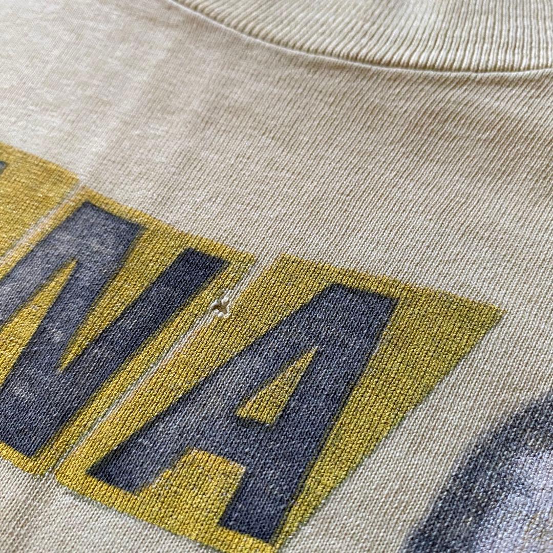 90's NIRVANA Incesticide ヴィンテージ Tシャツ