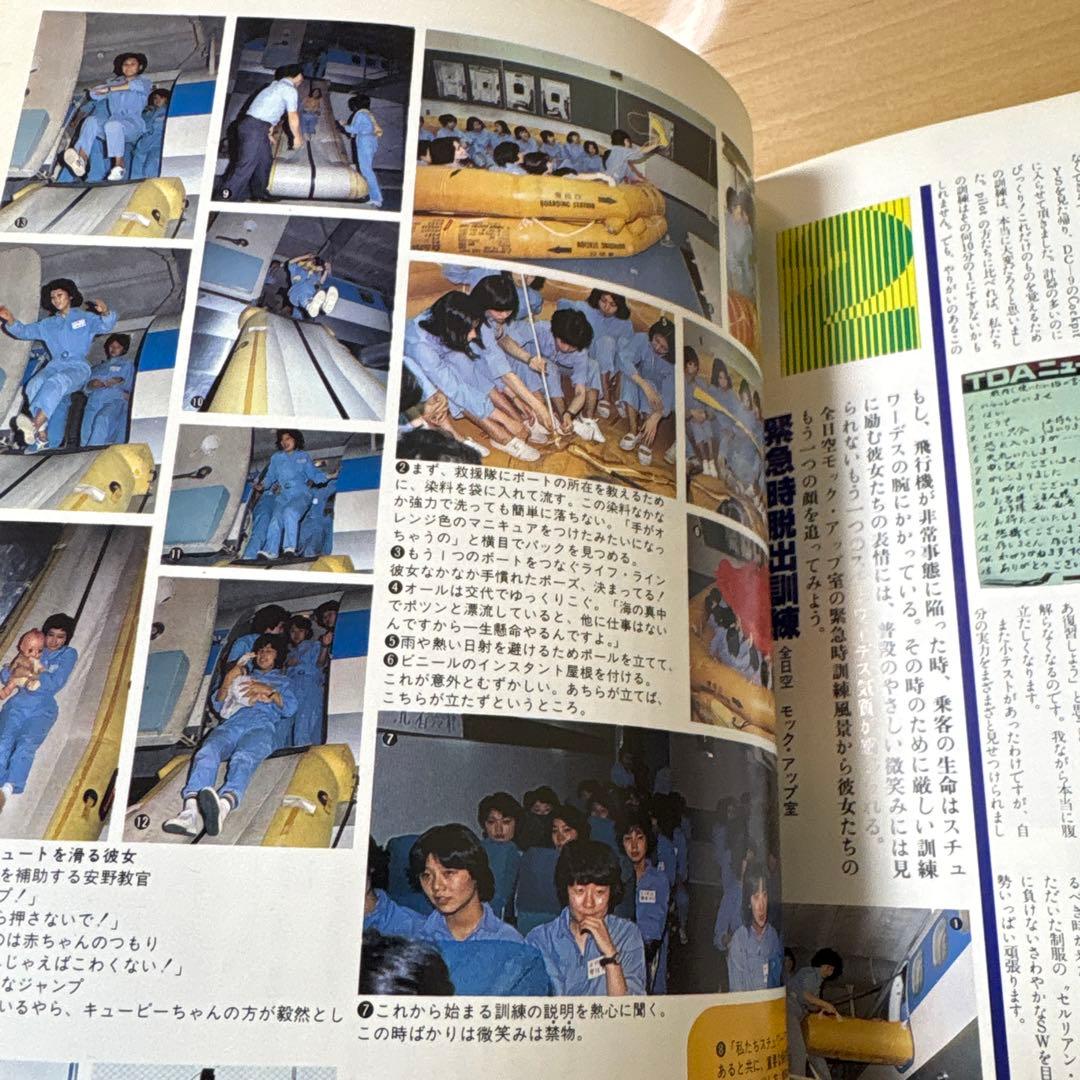 世界のスチュワーデスカタログ