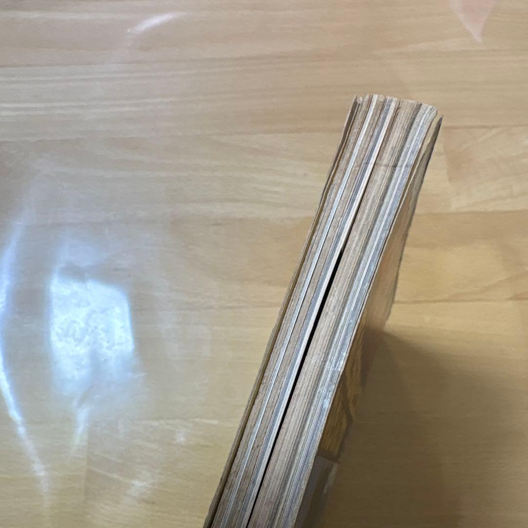 世界のスチュワーデスカタログ