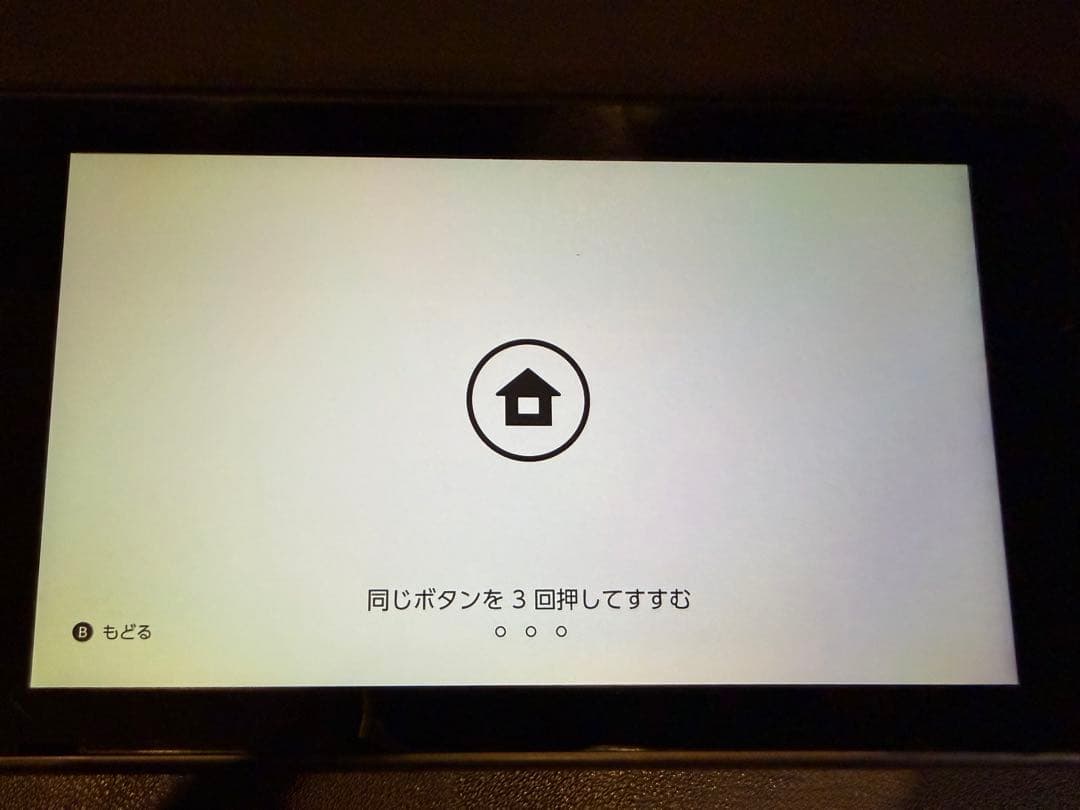 Switch 本体・ドッグのみ　【ジャンク】