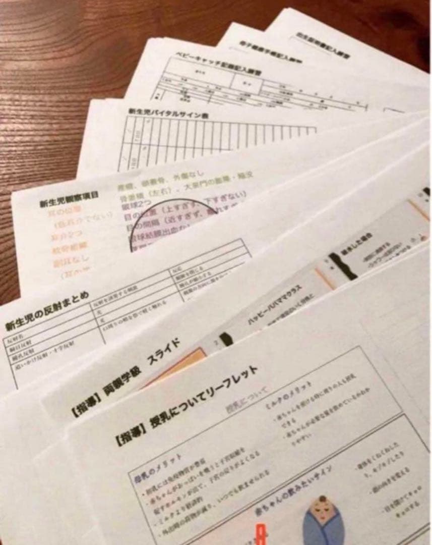 助産師　助産学生　実習ポケットノート 助産師国家試験　対策　就職　まとめノート