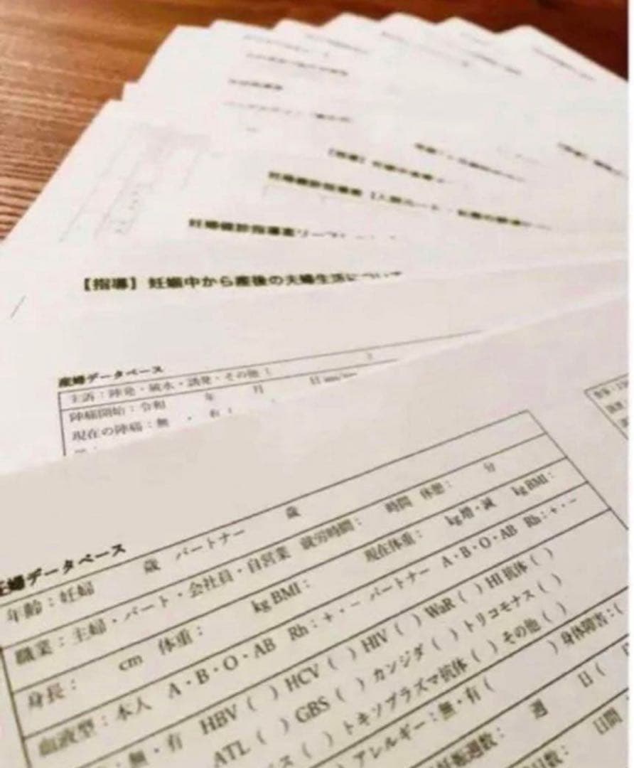 助産師　助産学生　実習ポケットノート 助産師国家試験　対策　就職　まとめノート