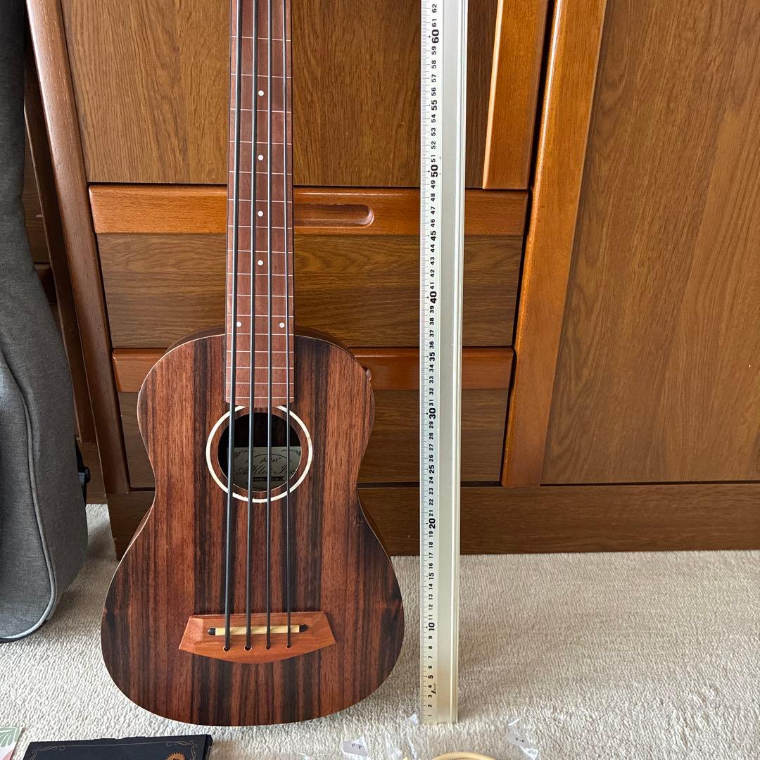 Aklot アコースティックベース 4弦
