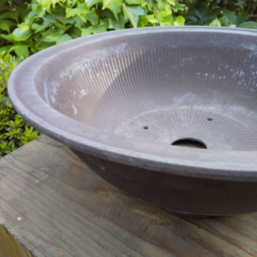 盆栽鉢 大品 12号 松柏類 無釉 泥鉢 泥物 外縁 丸 陣笠 彫入 雲龍文